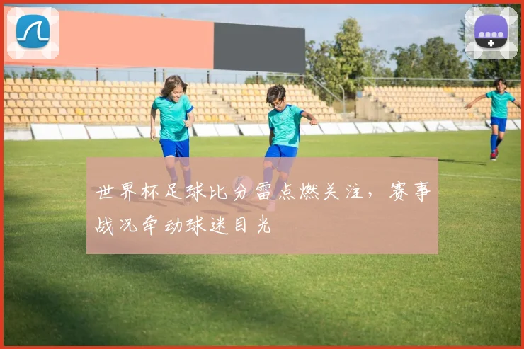 世界杯足球比分雷点燃关注，赛事战况牵动球迷目光
