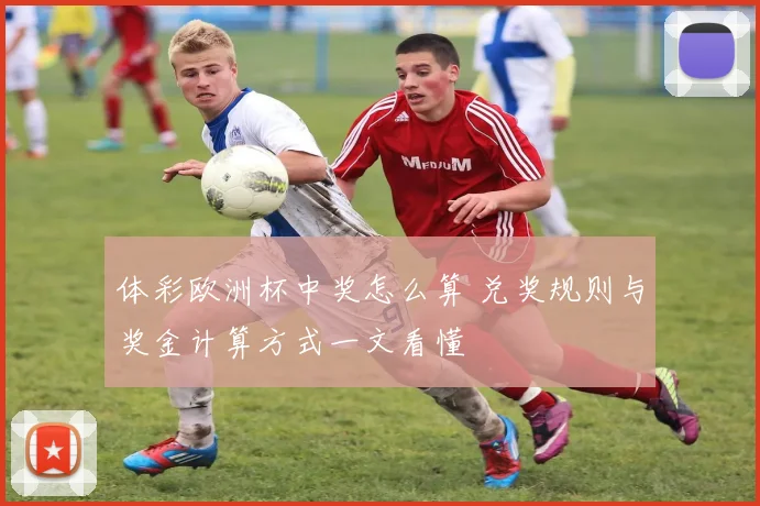 体彩欧洲杯中奖怎么算 兑奖规则与奖金计算方式一文看懂