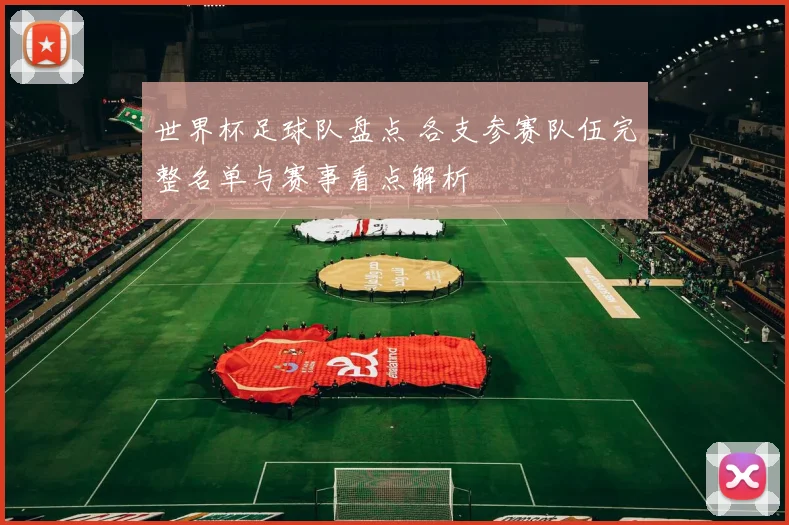 世界杯足球队盘点 各支参赛队伍完整名单与赛事看点解析